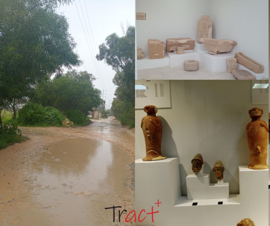 يرى المختصون في التراث أنه من الضروري اتخاذ مجموعة من الإجراءات التي يمكن أن تسهم في إحياء المقبرة البونية وتثمينها بشكل يعكس أهميتها التاريخية